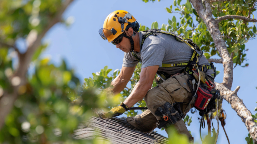 Fall Roofing Maintenance Checklist Long Island
