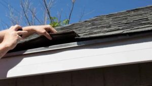 Fall Roofing Maintenance Checklist Long Island