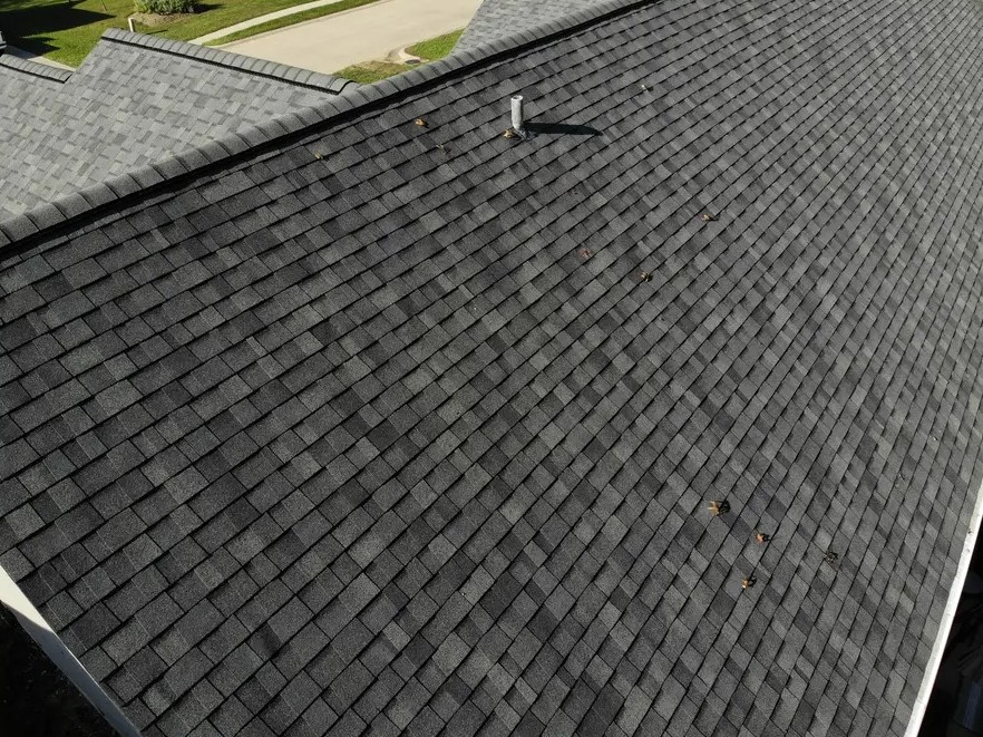 asphalt shingle roof